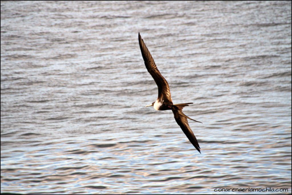 San Cristóbal Galápagos Ecuador