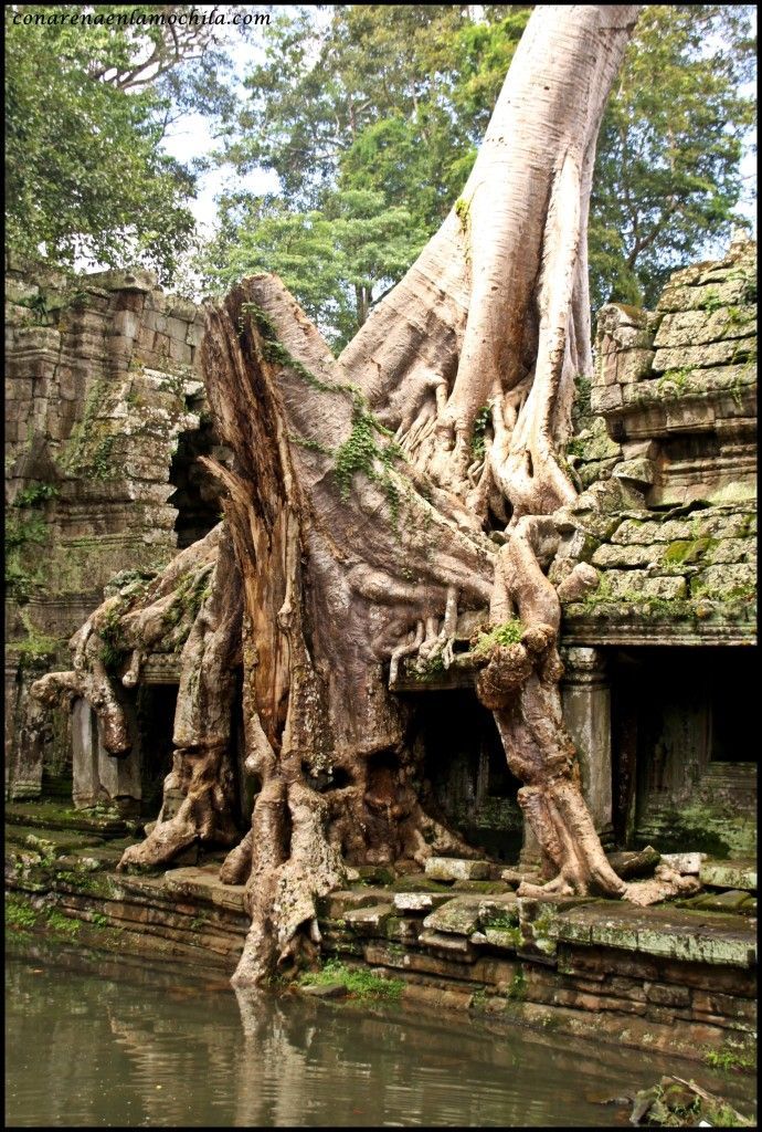 Preah Khan Angkor Siem Reap Camboya