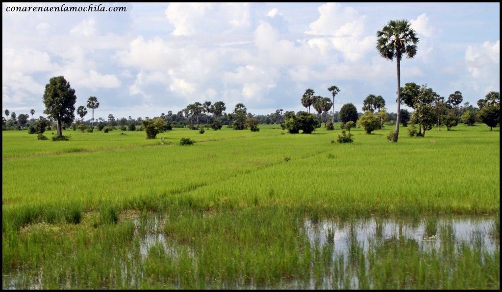 Siem Reap Camboya