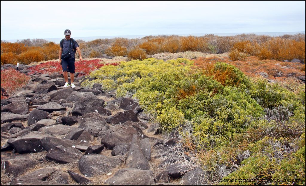 La Española Galápagos Ecuador