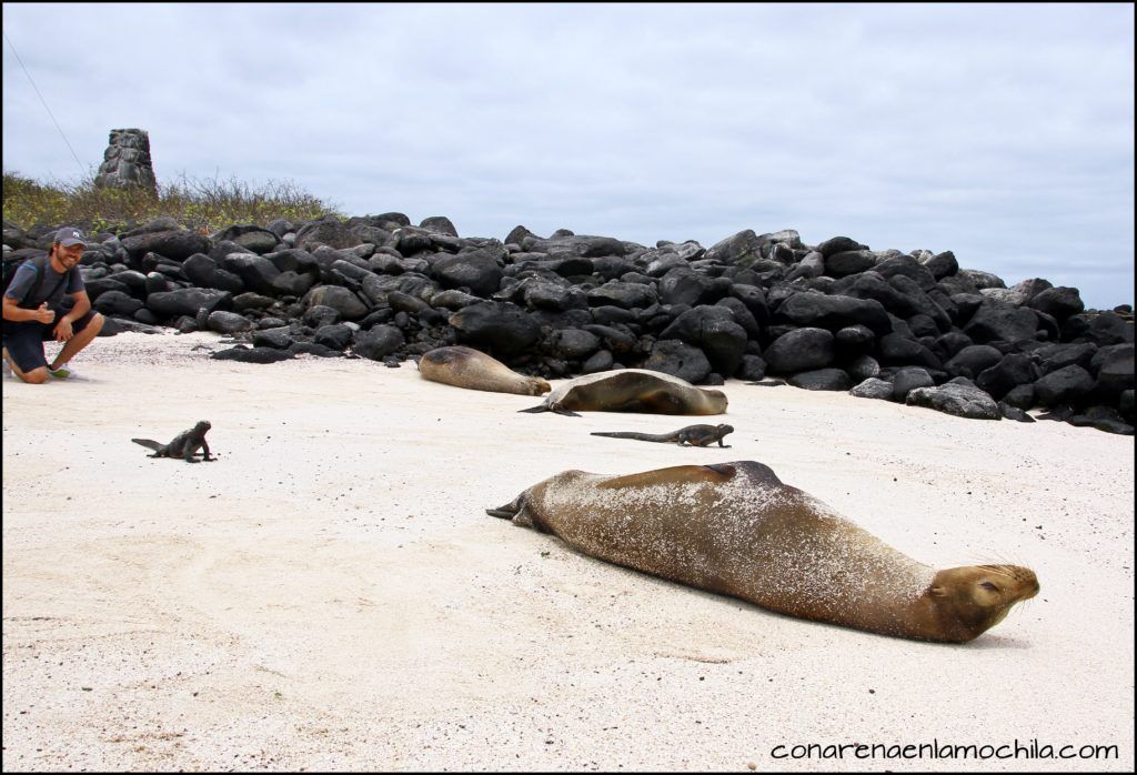 La Española Galápagos Ecuador