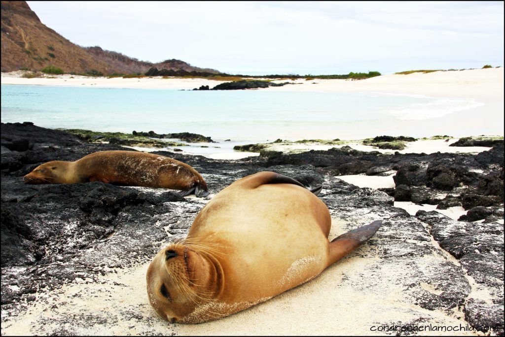 San Cristóbal Galápagos Ecuador