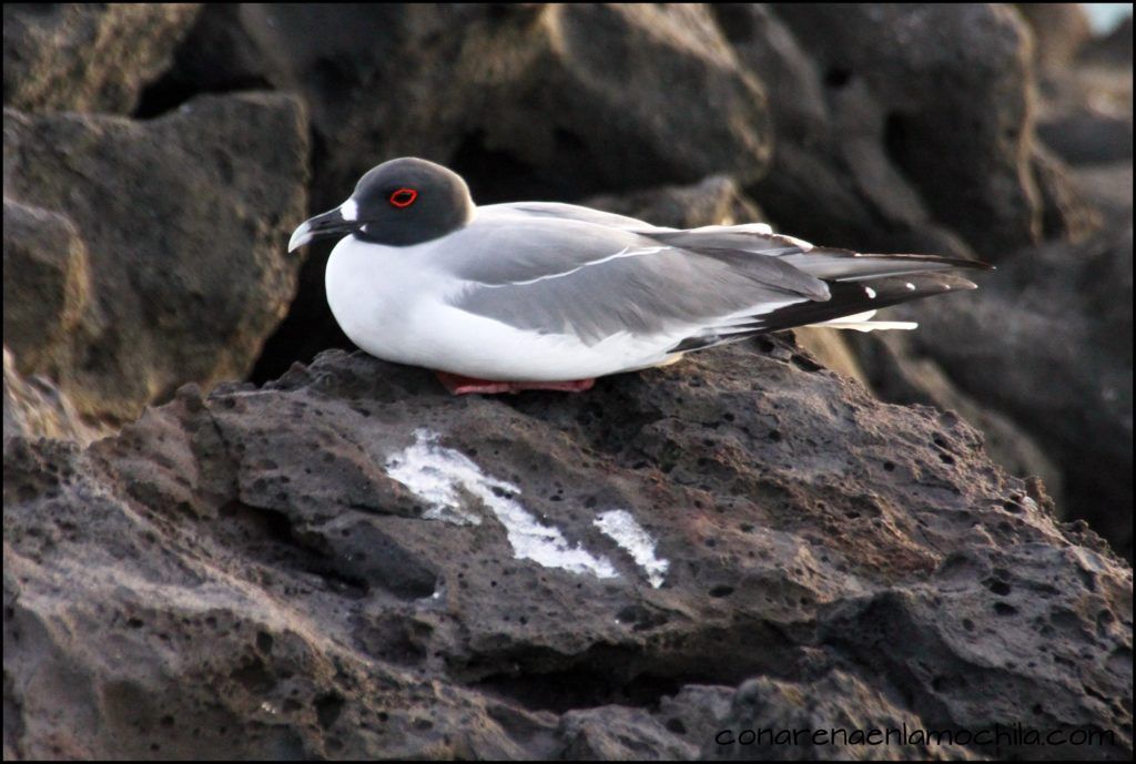 San Cristóbal Galápagos Ecuador