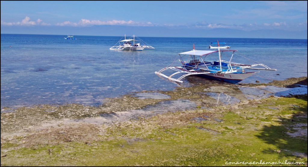 Moalboal Cebu Filipinas