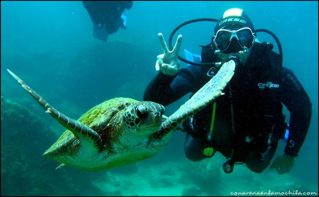 Ilha Grande Brasil