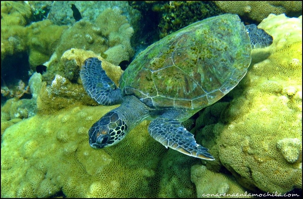 Ilha Grande Brasil