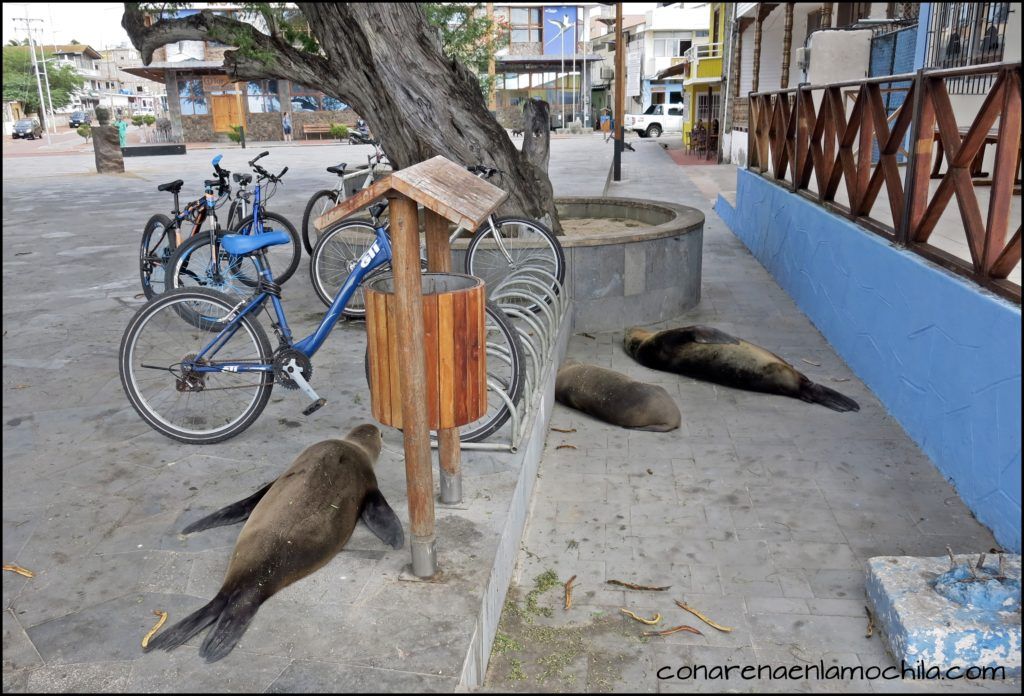 San Cristóbal Galápagos Ecuador