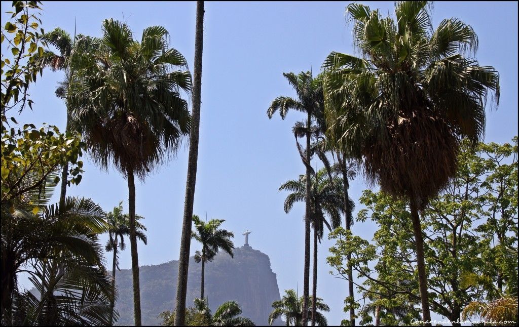 Jardín Botánico Rio de Janeiro Brasil