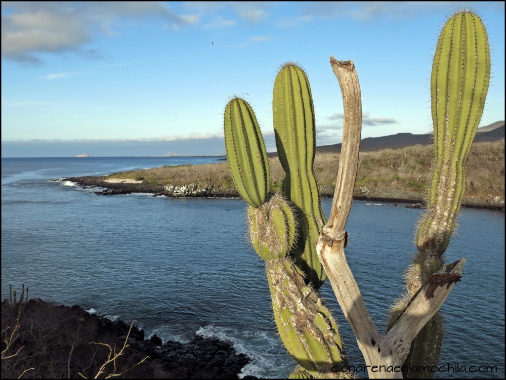 San Cristóbal Galápagos Ecuador