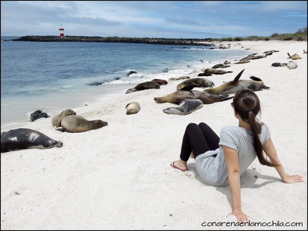 Galápagos Ecuador