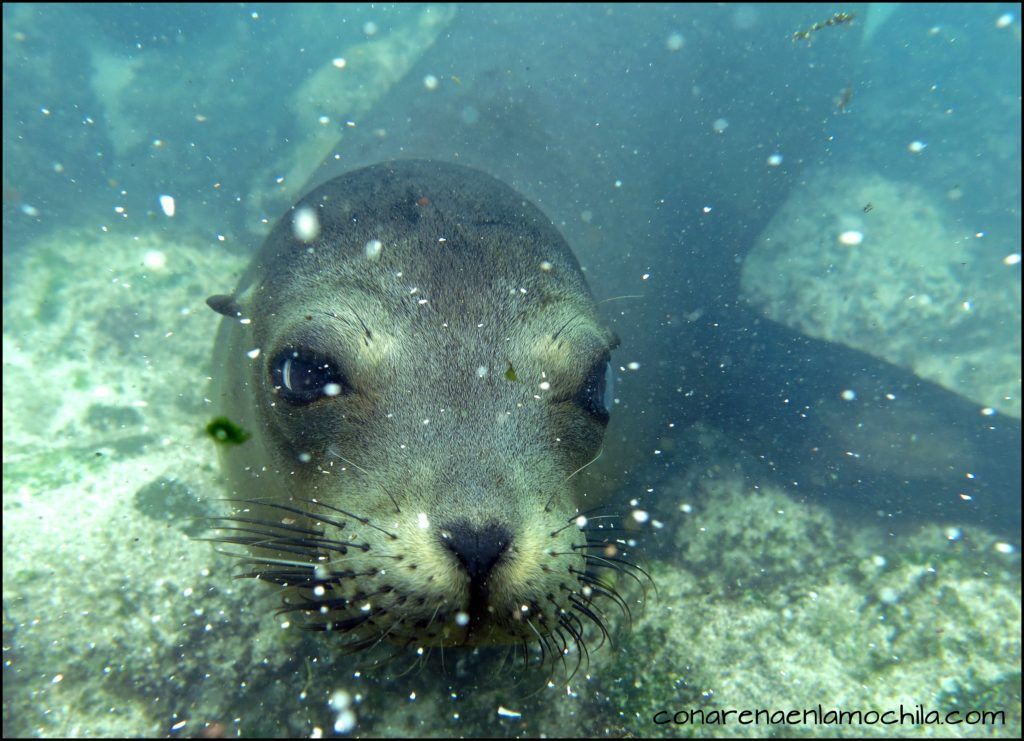 San Cristóbal Galápagos Ecuador