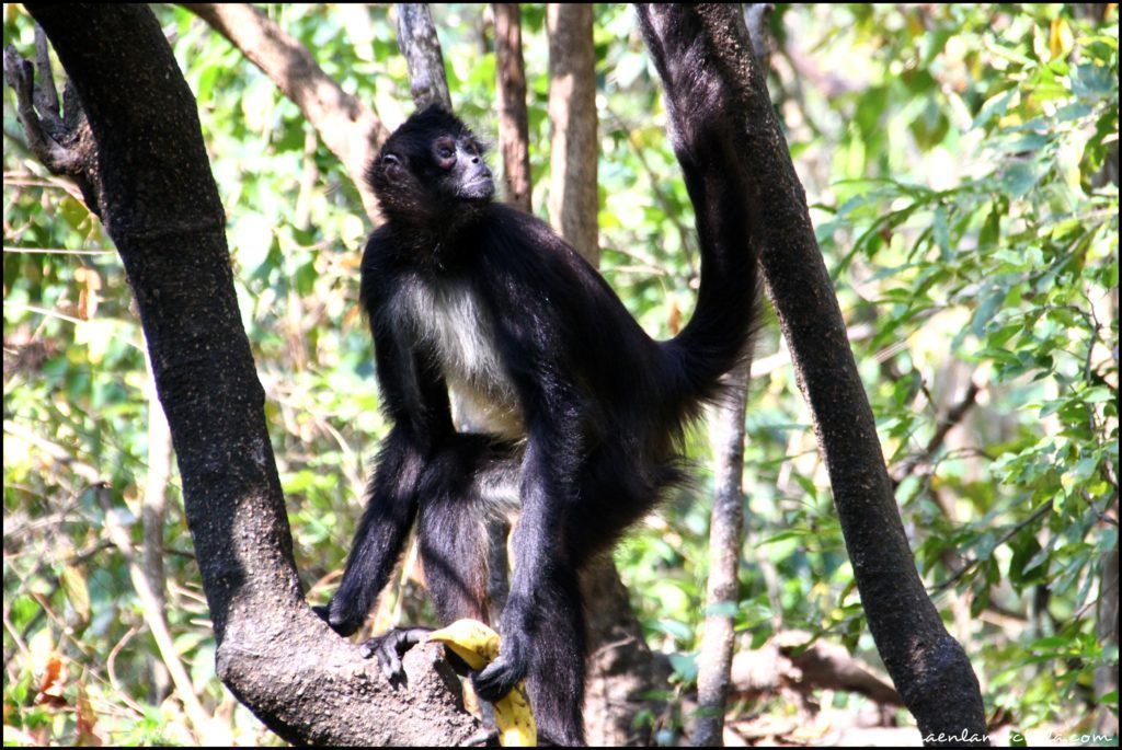 Reserva Atitlán Guatemala