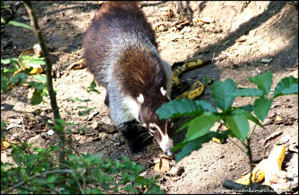 Reserva Atitlán Guatemala