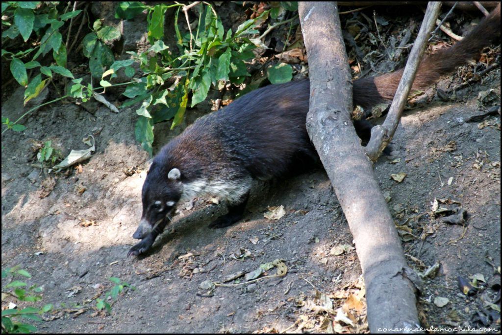 Reserva Atitlán Guatemala