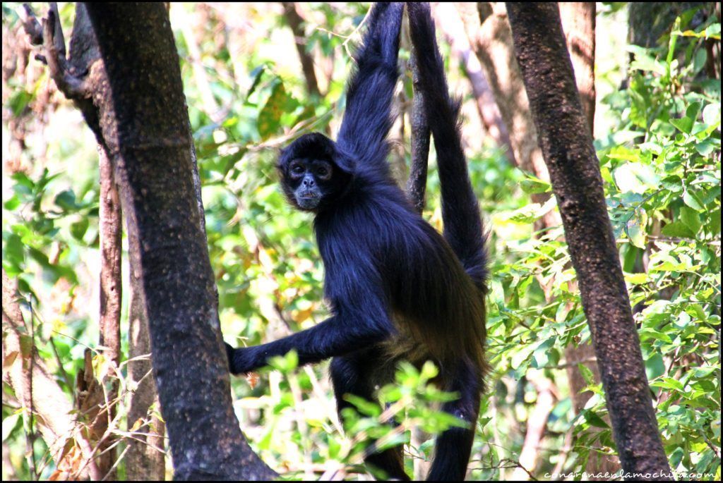 Reserva Atitlán Guatemala