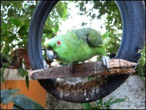 Hospedaje El viajero Lago Atitlán Guatemala