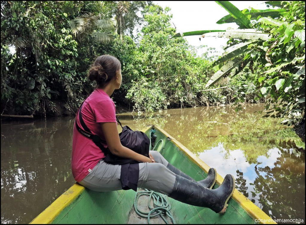 Yasuni Ecuador