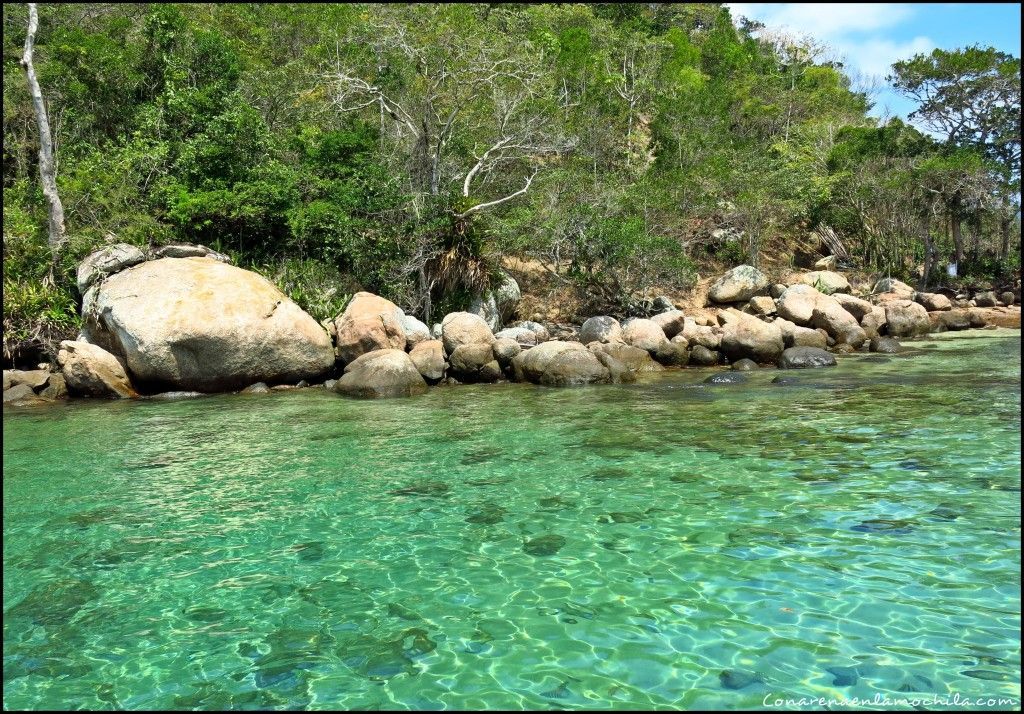 Lagoa Verde Ilha Grande Brasil