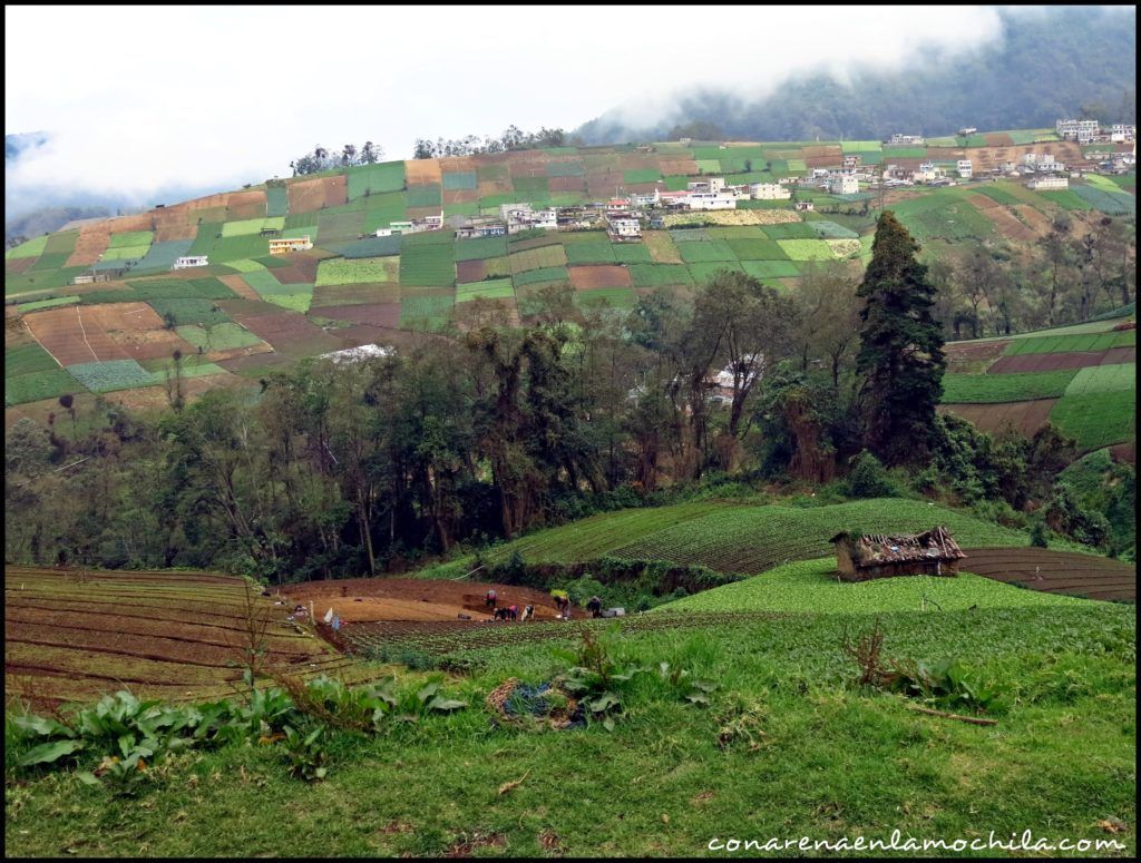 Fuentes Georginas Quetzaltenango Guatemala