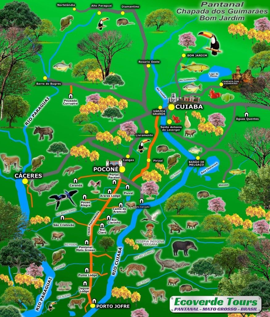 Mapa Pantanal Brasil