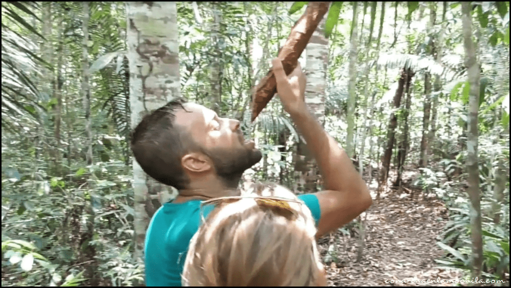 Parque Nacional de Jaú Amazonas Brasil