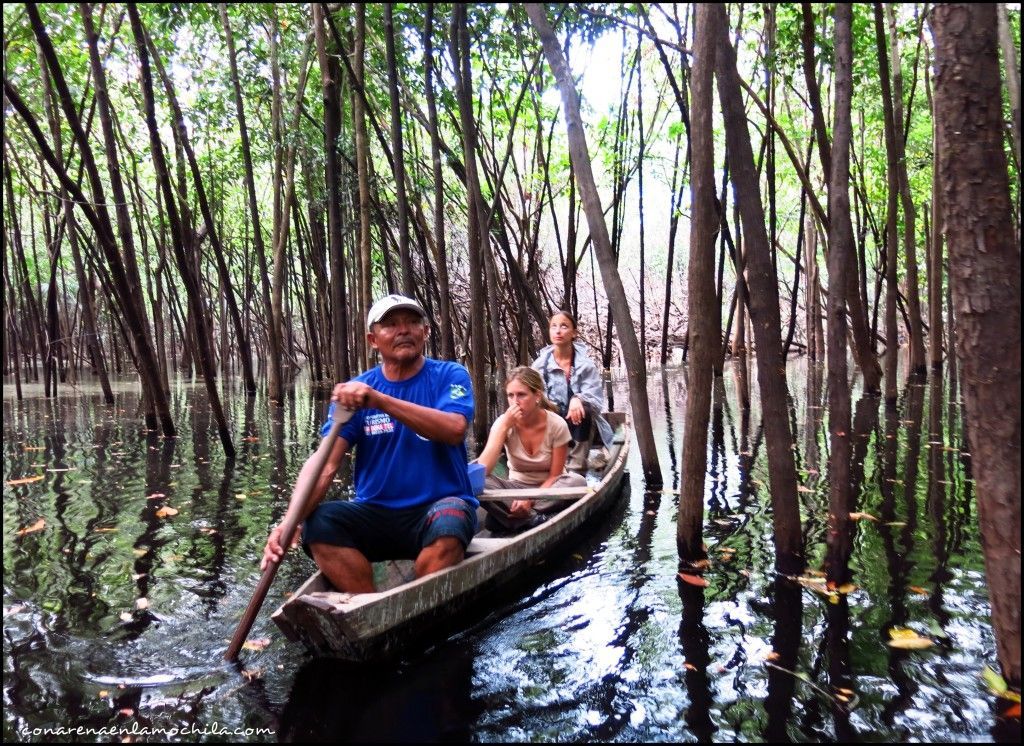 Parque Nacional de Jaú Amazonas Brasil