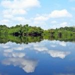 El Amazonas de Brasil: Viviendo una aventura en el Parque Nacional de Jaú