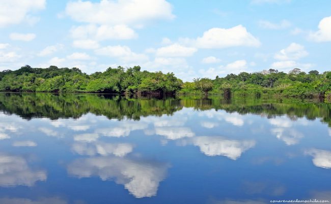 Parque Nacional de Jaú Amazonas Brasil
