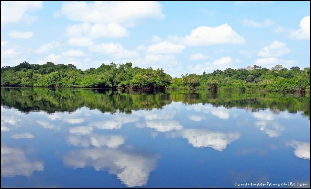 Parque Nacional de Jaú Amazonas Brasil