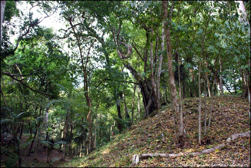 Yaxhá Guatemala