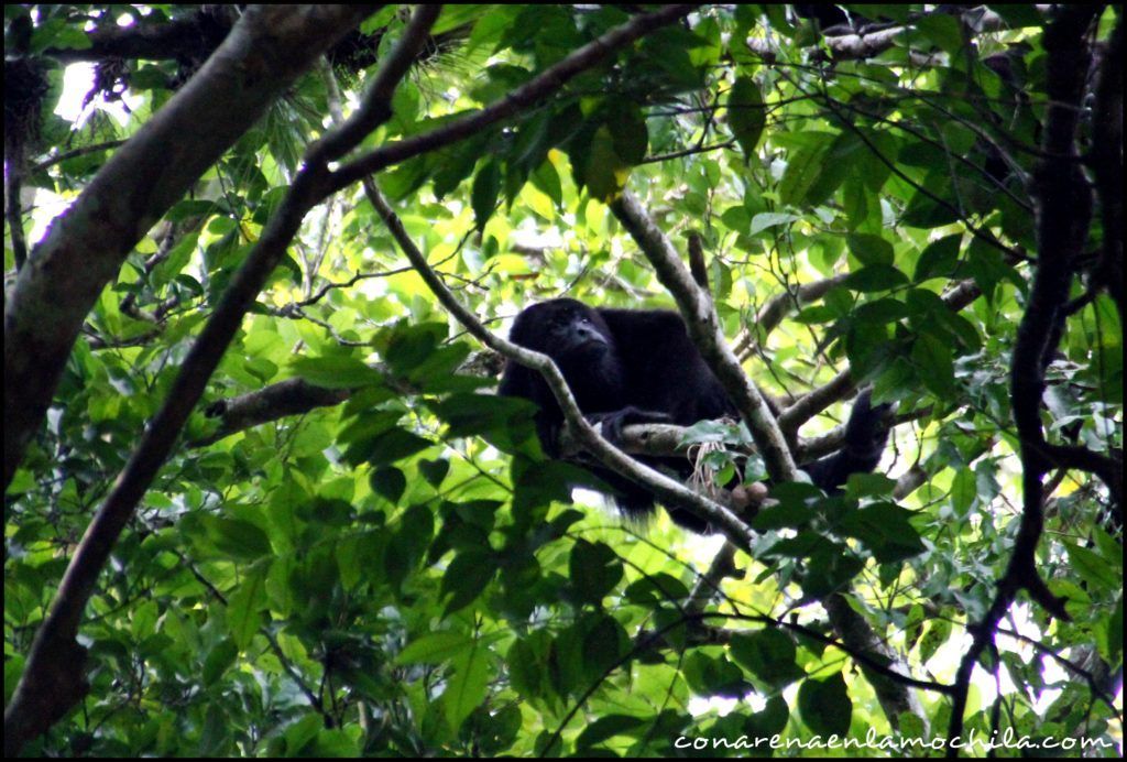 Yaxhá Guatemala