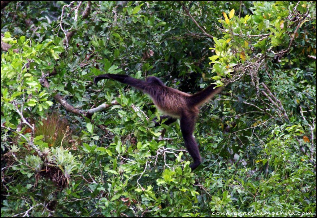 Yaxhá Guatemala