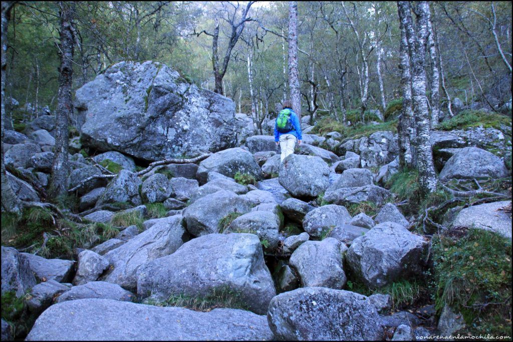 Preikestolen Noruega