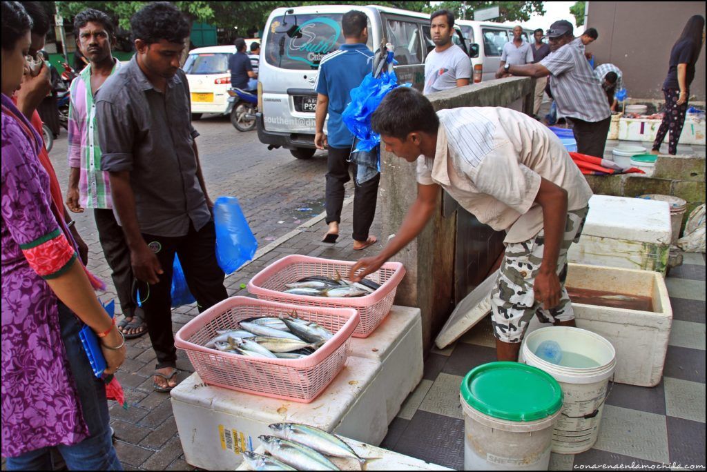 Maldives Blue Force Malé Maldivas