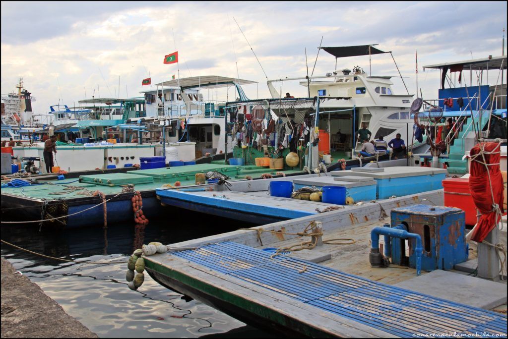 Maldives Blue Force Malé Maldivas