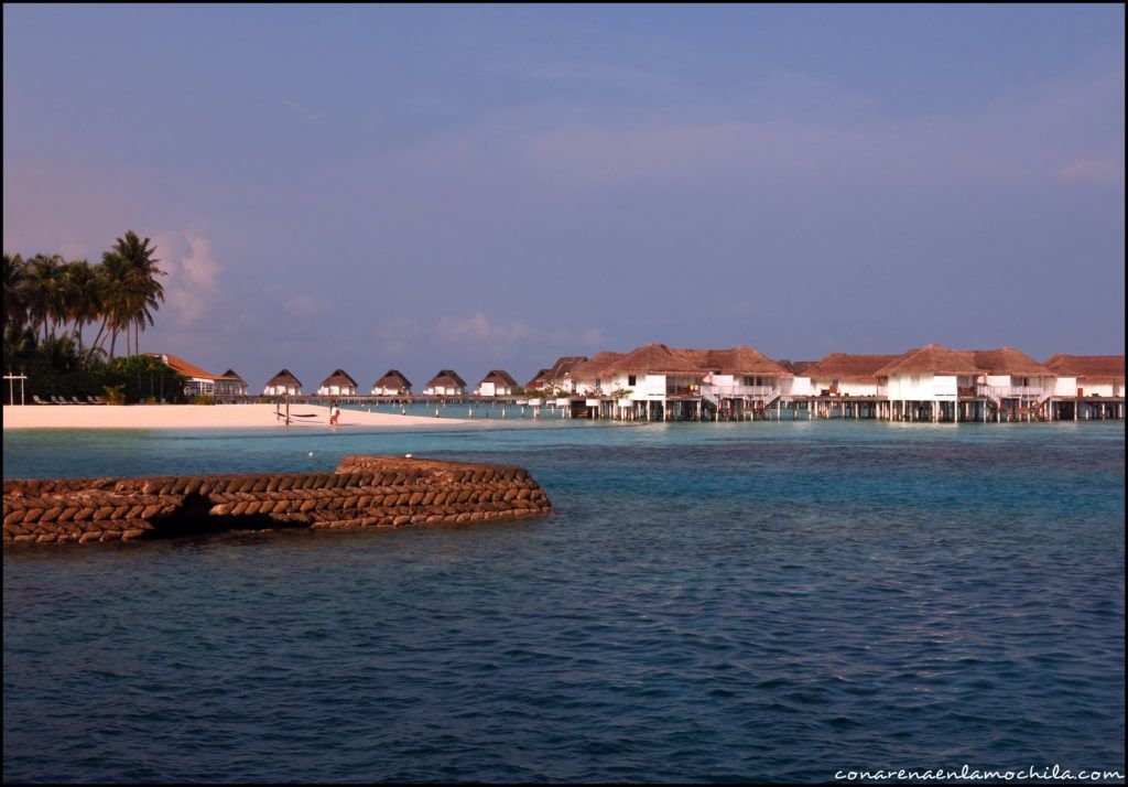 Maldives Blue Force Maldivas