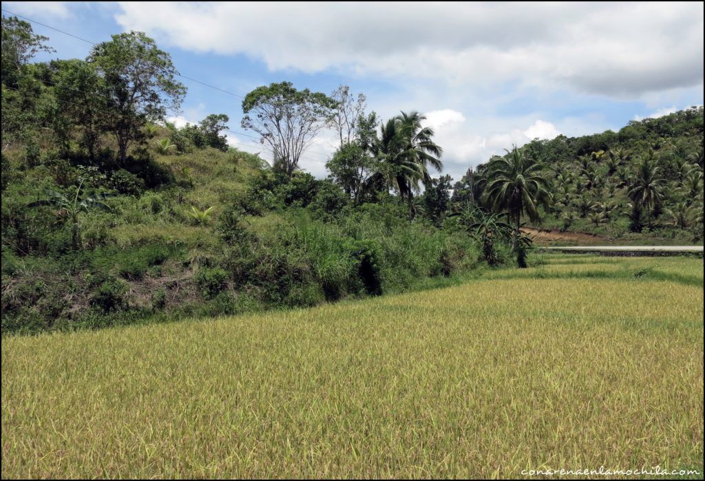 bohol filipinas