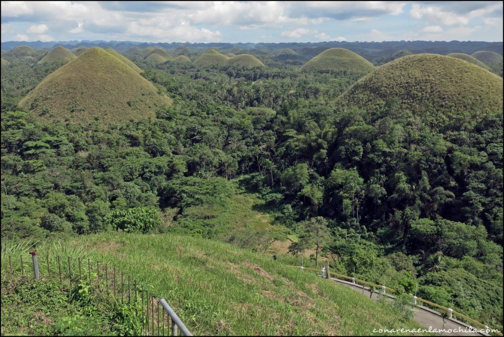 bohol filipinas