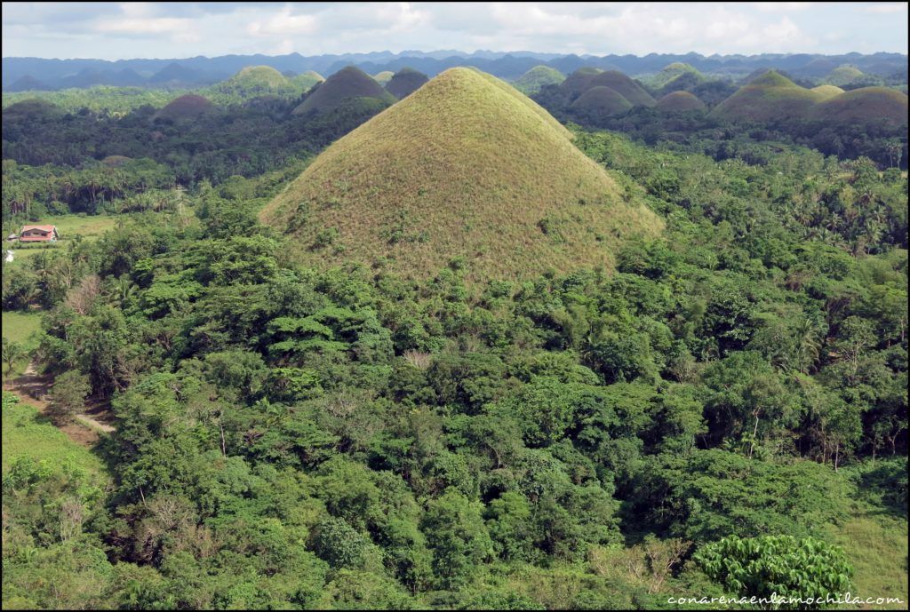 bohol filipinas