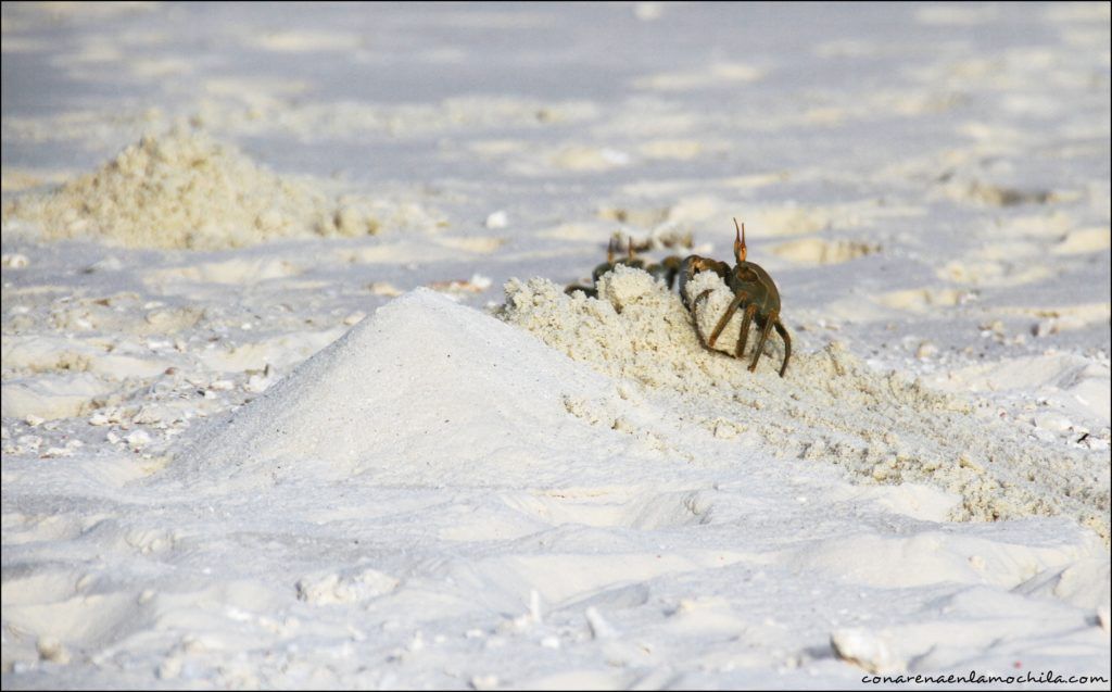 Nilandhoo Maldivas