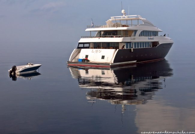 Maldives Blue Force Maldivas