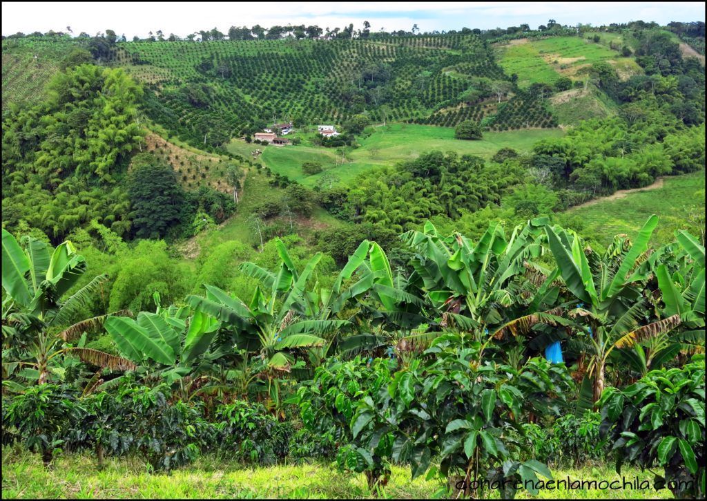 Eje Cafetero Quindío Colombia