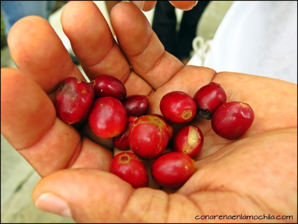 Eje Cafetero Quindío Colombia