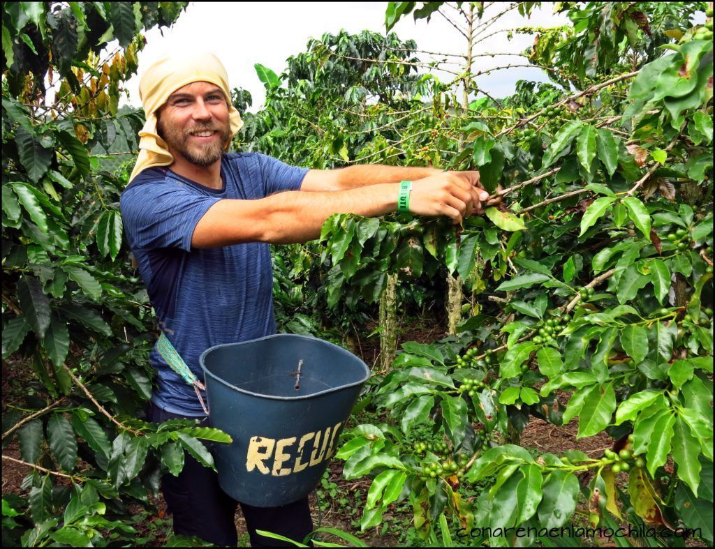 Eje Cafetero Quindío Colombia