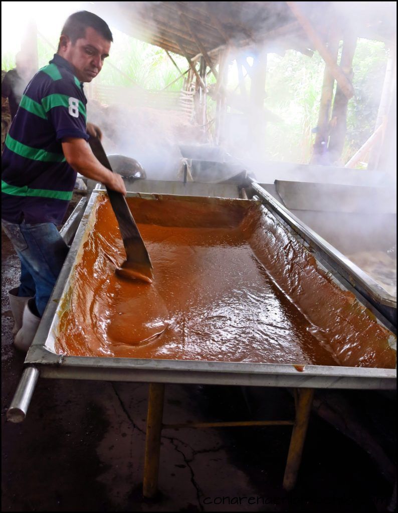 Eje Cafetero Quindío Colombia