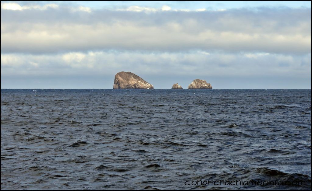 Buceo Galápagos Ecuador