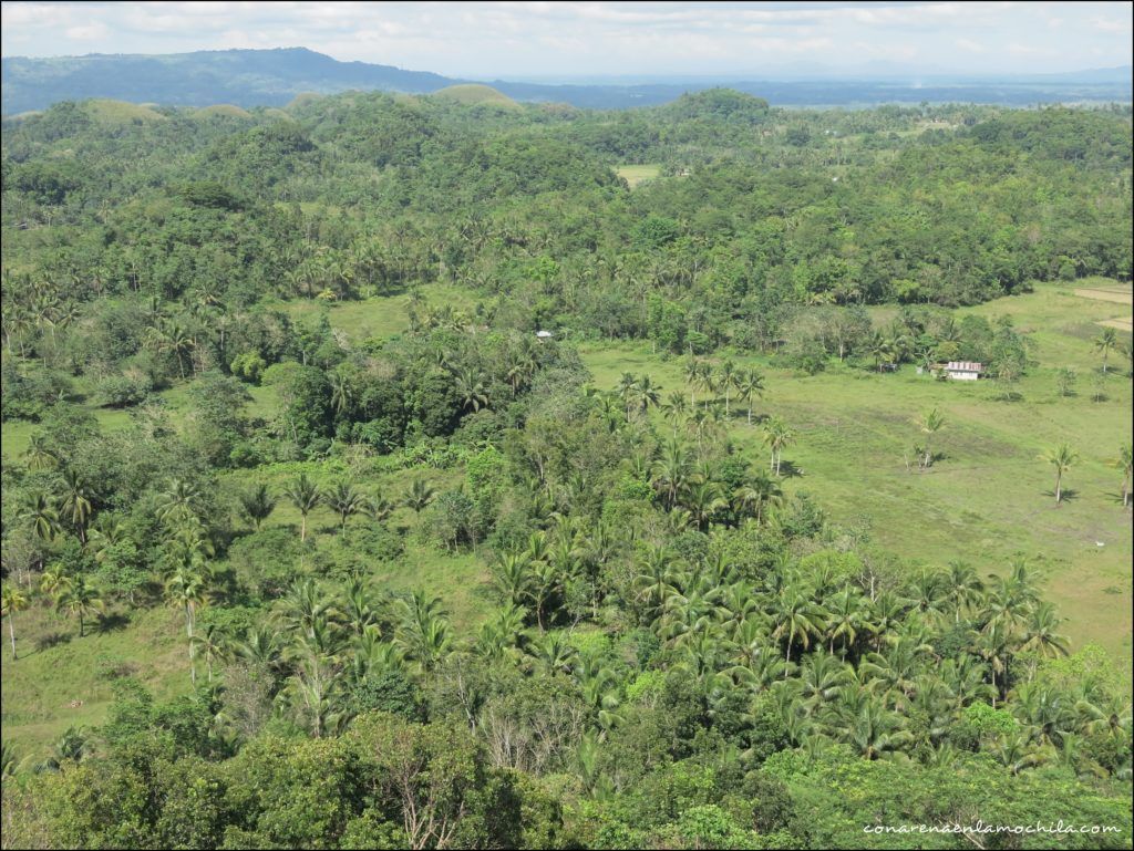 Bohol Filipinas