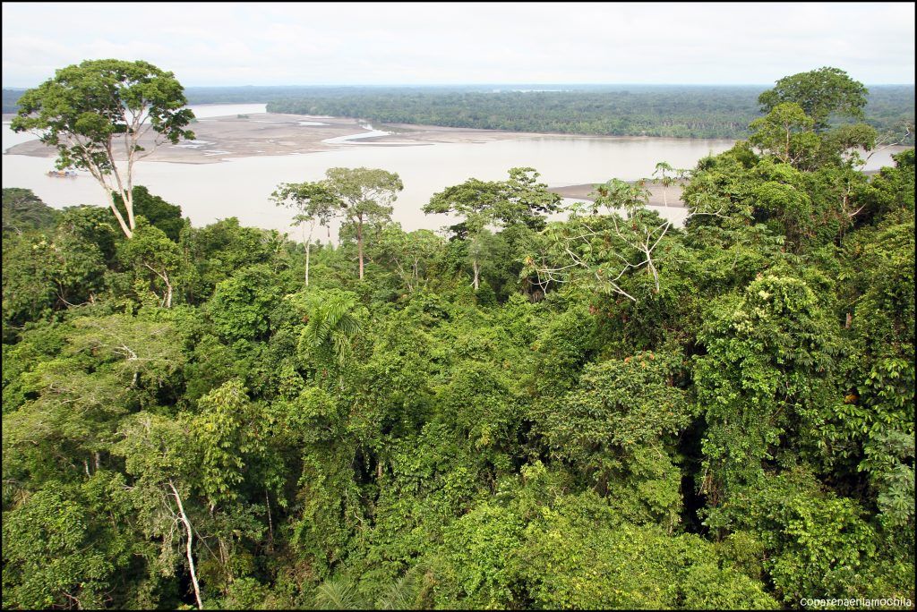 Yasuni Ecuador