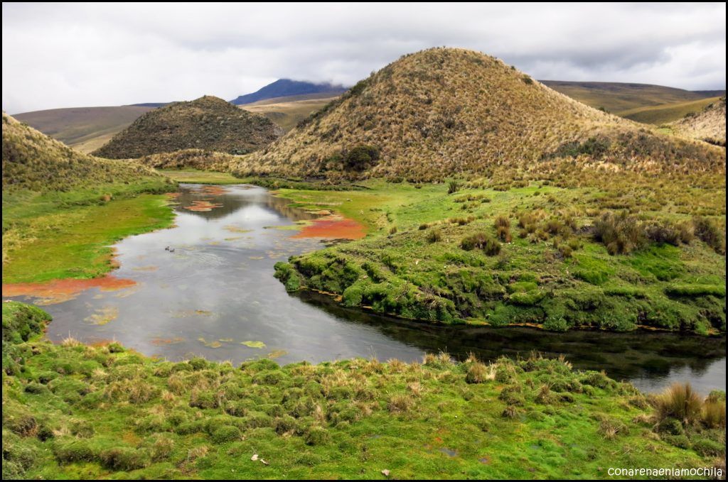 Parque Nacional CotopaxiEcuador