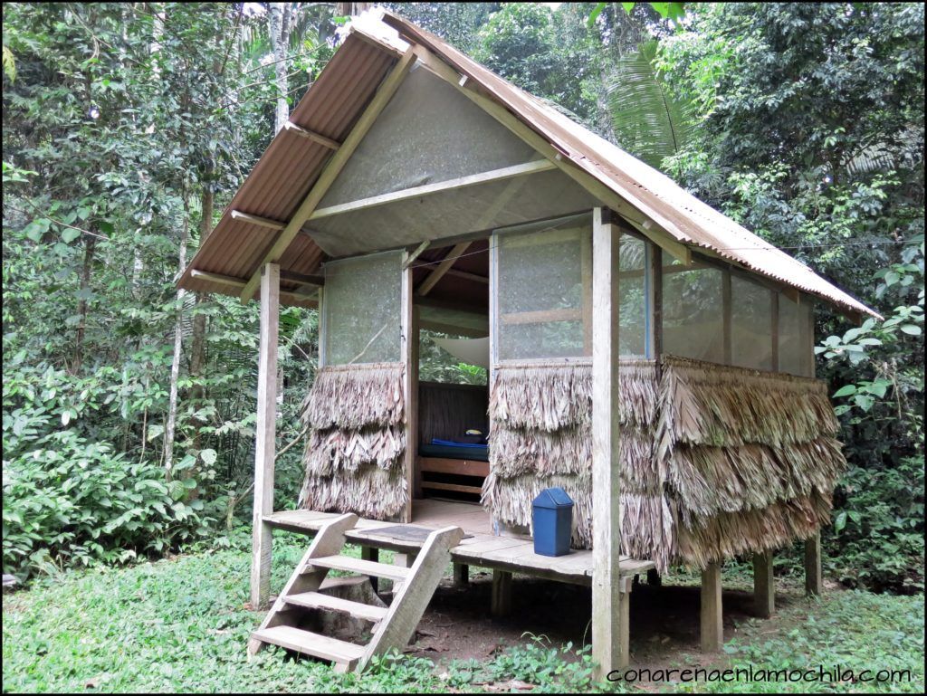 Parque Nacional Manu Perú